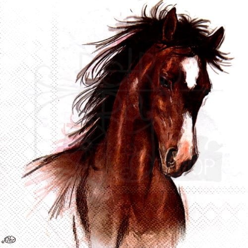 Serwetka 33 x 33 - Konie, koniki