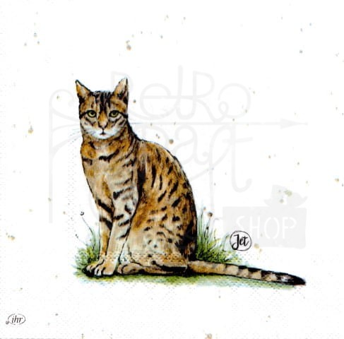 Serwetka 33 x 33 - Kot, kotek