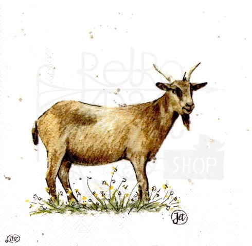 Serwetka 33 x 33 - Koza
