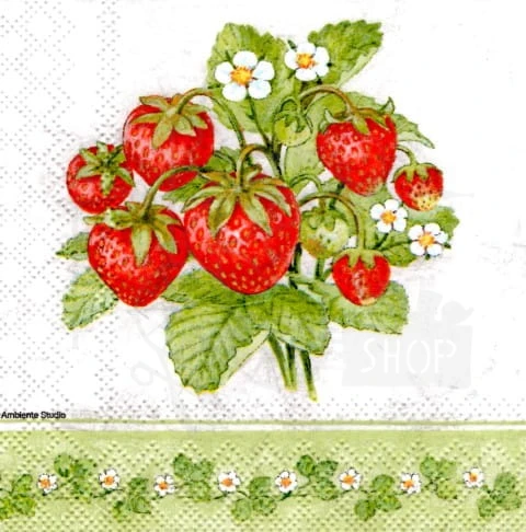 Serwetka 25 x 25 - Truskawki