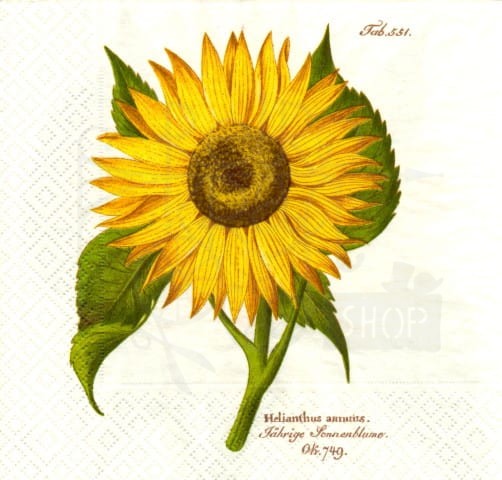 Serwetka 33 x 33 - Słonecznik, sunflower