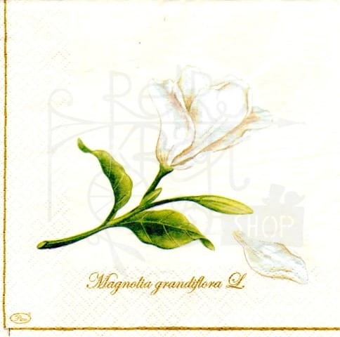 Serwetka 33 x 33 - Magnolia
