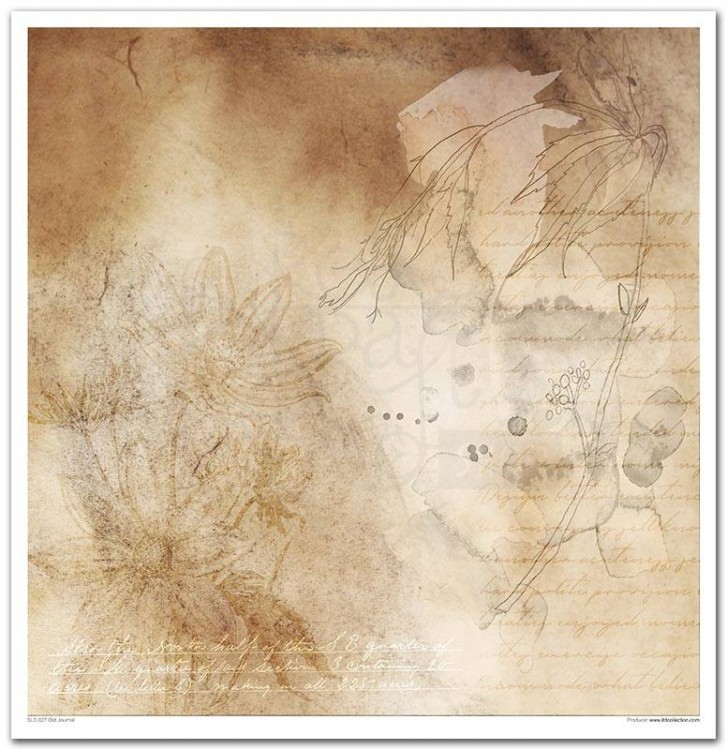 Zestaw do scrapbookingu SLS-027 'Old Journal'