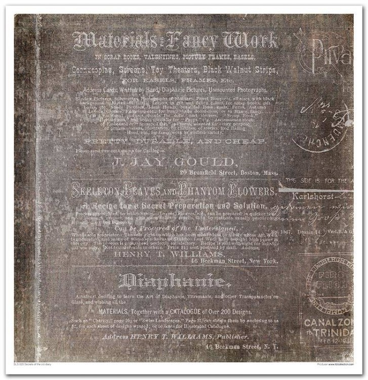 SLS-025 11.jpg