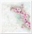 Zestaw do scrapbookingu SLS-008 'Shabby Chic for spring'