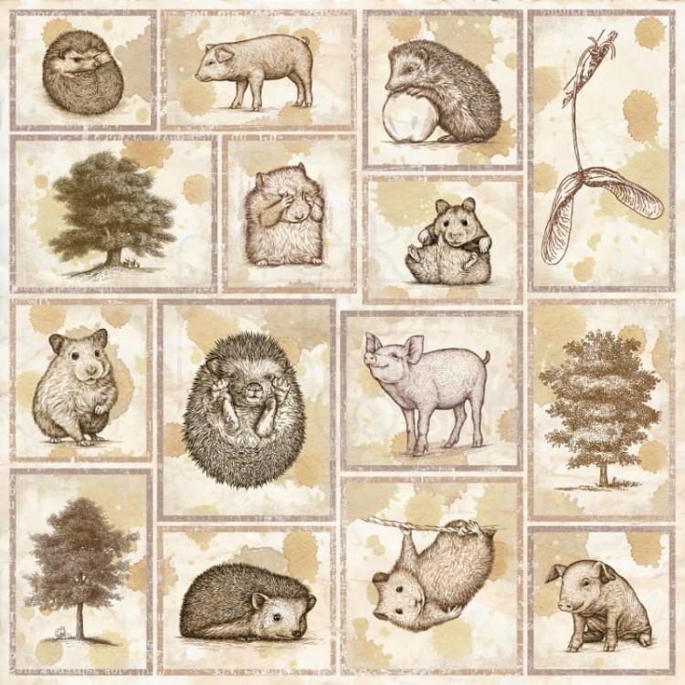 Zestaw Papierów 30x30 Terra Incognita - zestaw papierów UHK Gallery