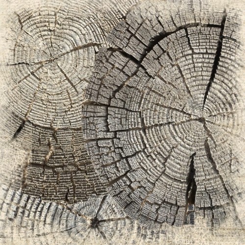 Papier 30x30 UHK Gallery Terra Incognita Earth