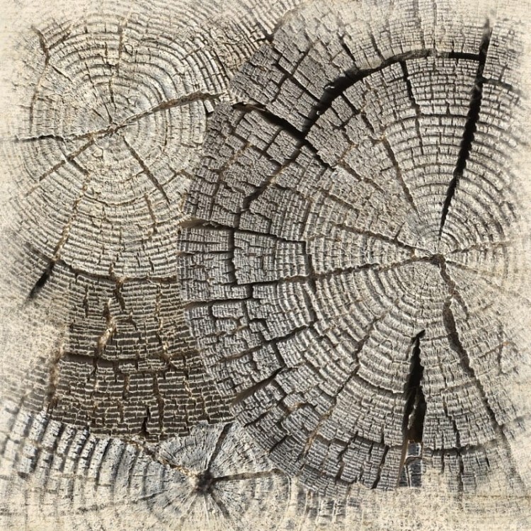 Papier 30x30 UHK Gallery Terra Incognita Earth