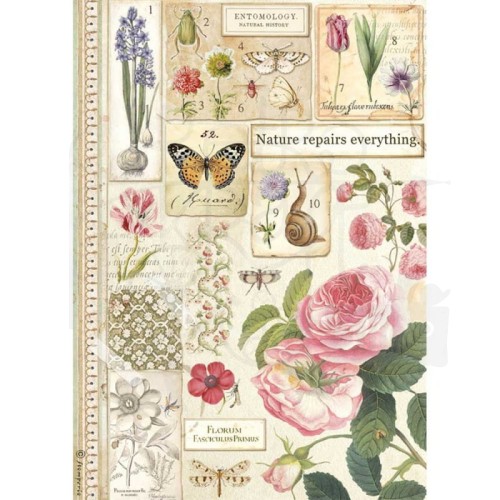 Papier ryżowy botanic Stamperia