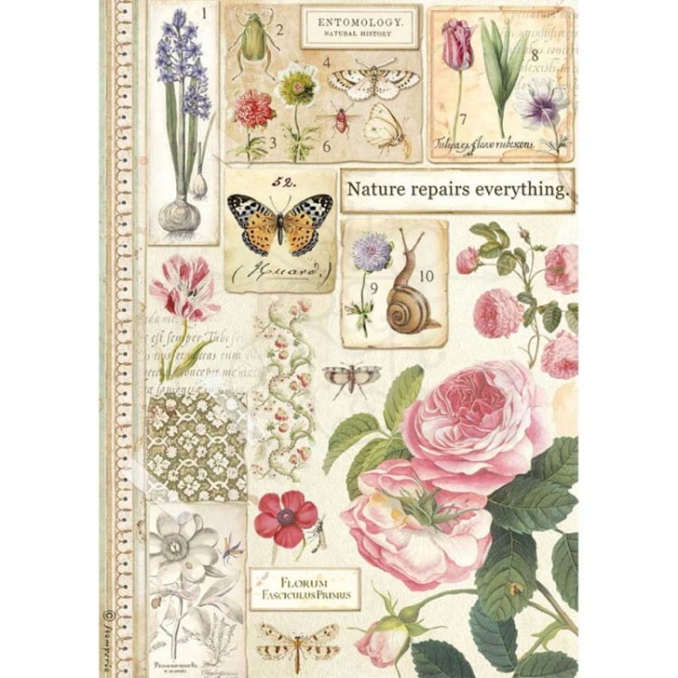 Papier ryżowy botanic Stamperia