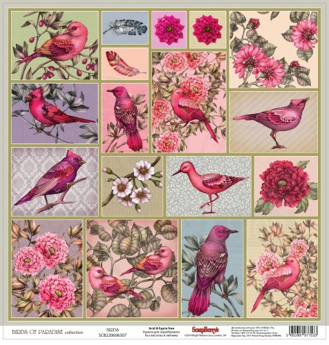 Papier 30x30 Scrapberry's Birds Of Paradise Birds