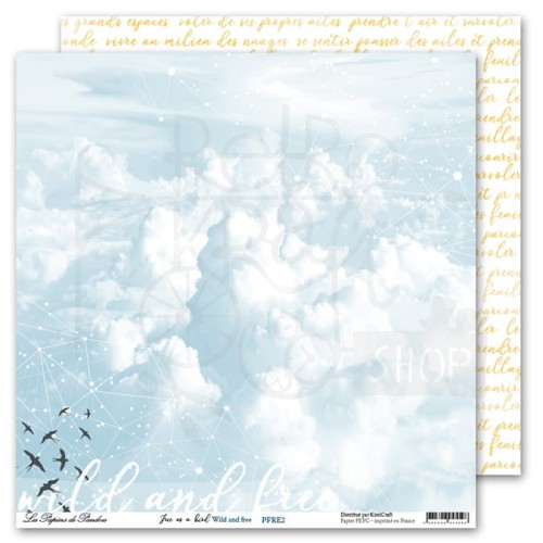 Papier 30x30 Wolny jak ptak Free like a Bird LPDP