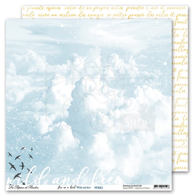 Papier 30x30 Wolny jak ptak Free like a Bird LPDP
