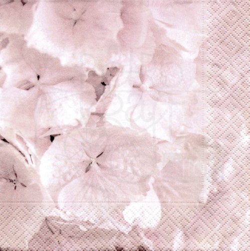 Serwetka 33 x 33 - Hortensia, Hortensja