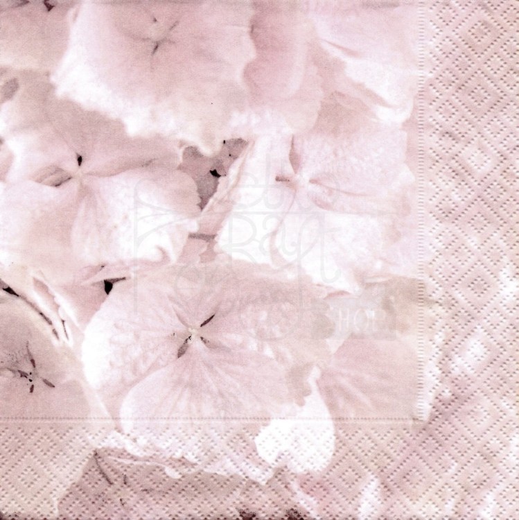 Serwetka 33 x 33 - Hortensia, Hortensja