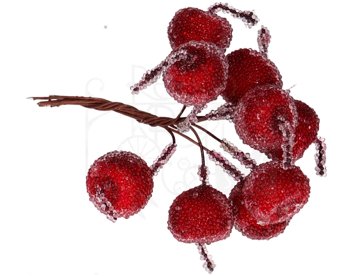 Jabłka oszronione na druciku
