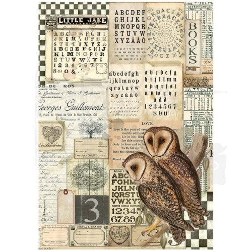 Papier ryżowy A4 Alchemy Sowy DFSA4664 Stamperia
