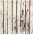 Zestaw papierów 30x30 Woods W-11 ScrapAndMe