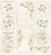 Zestaw papierów 30x30 Simple Story 3 beige SS3b-11 ScrapAndMe
