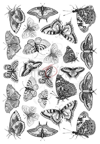 Ozdobne kalki zestaw 21x29,7 cm  Insects CC-MM-ZK-09 Craft O'Clock