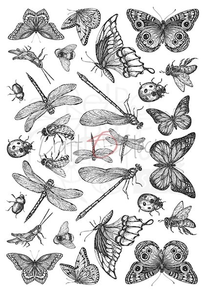 Ozdobne kalki zestaw 21x29,7 cm  Insects CC-MM-ZK-09 Craft O'Clock