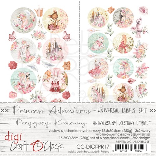 CC-DIGI-PR17.jpg