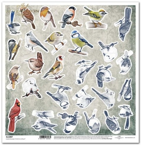 Papier 30x30 Mrozem malowane zimowe ptaki SL1087 ITD Collection