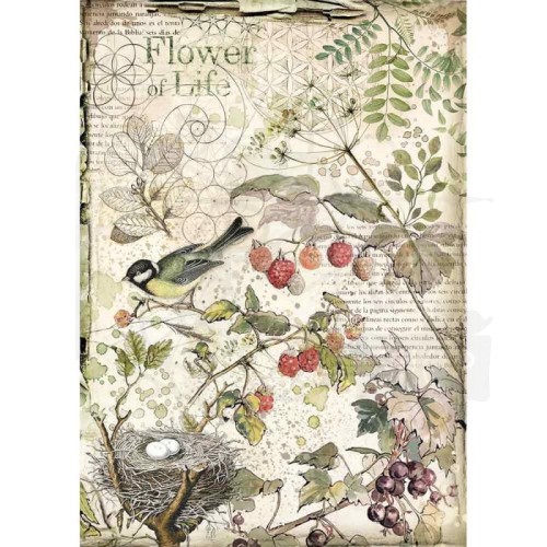 Papier ryżowy A4 Forest ptaszek gniazdko owoce DFSA4459 Stamperia