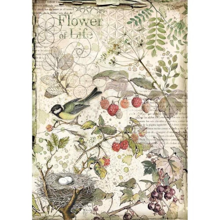 Papier ryżowy A4 Forest ptaszek gniazdko owoce DFSA4459 Stamperia