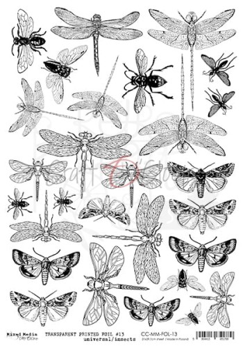 Folia Transparentna A4 Ważki, ćmy CC-MM-FOL-13 Craft O'Clock