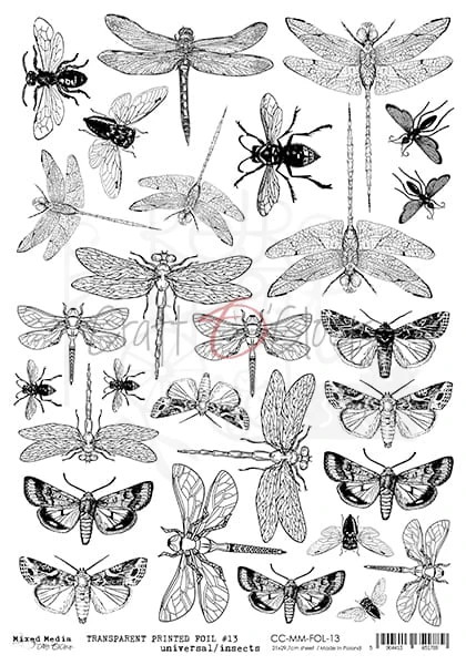 Folia Transparentna A4 Ważki, ćmy CC-MM-FOL-13 Craft O'Clock