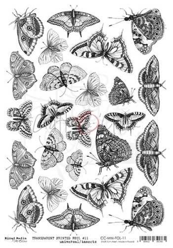 Folia transparentna A4 Motyle i ćmy CC-MM-FOL-11 Craft O'Clock