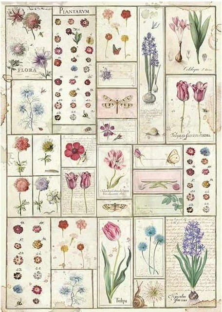 Papier ryżowy A3 Spring Botanic zielnik  DFSA3021 Stamperia