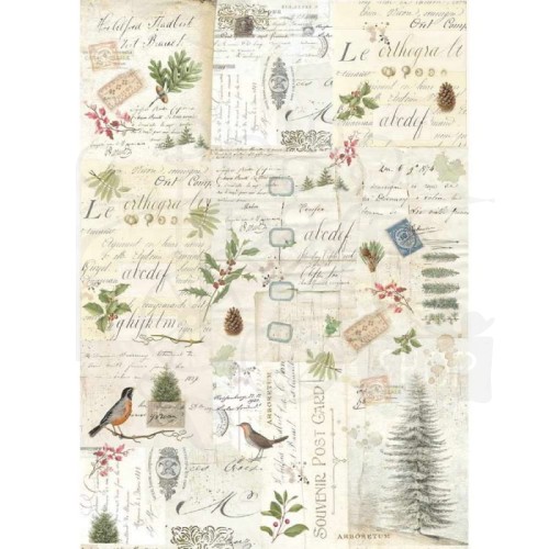 Papier ryżowy A3 Zimowy botanic  DFSA3009 Stamperia