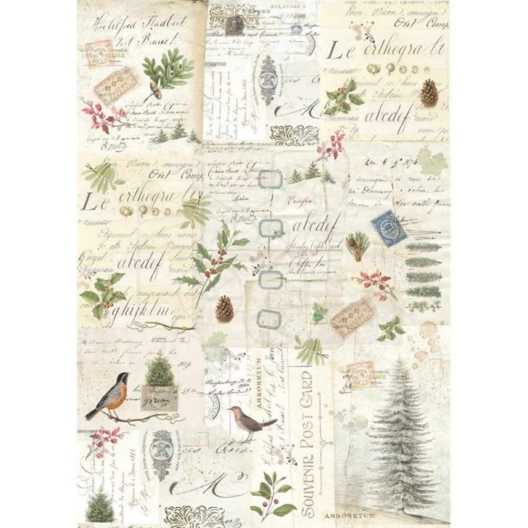 Papier ryżowy A3 Zimowy botanic  DFSA3009 Stamperia