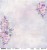 Zestaw papierów 30x30 Spring Purple SP-11 Scrap and Me 4