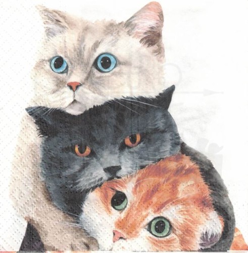 Serwetka 33x33 Trzy koty