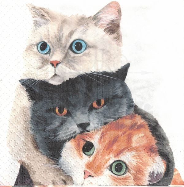 Serwetka 33x33 Trzy koty