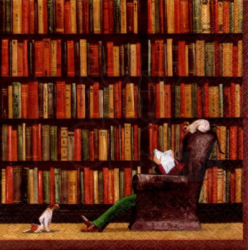 Serwetka 33x33 - Biblioteka 1