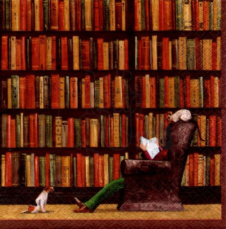 Serwetka 33x33 - Biblioteka 1