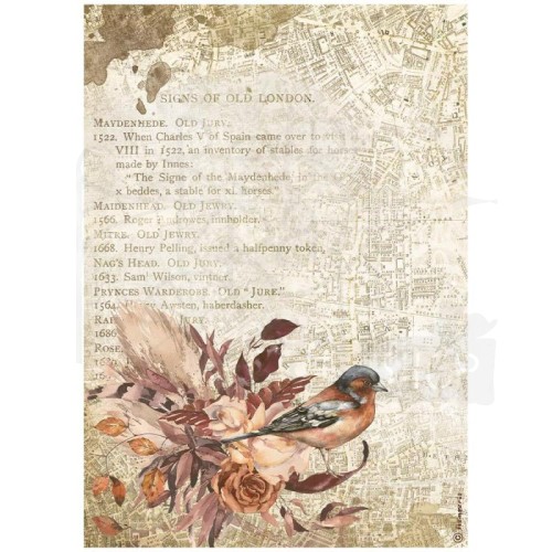 Papier ryżowy A4 Our Way Bird Ptaszek DFSA4713 Stamperia