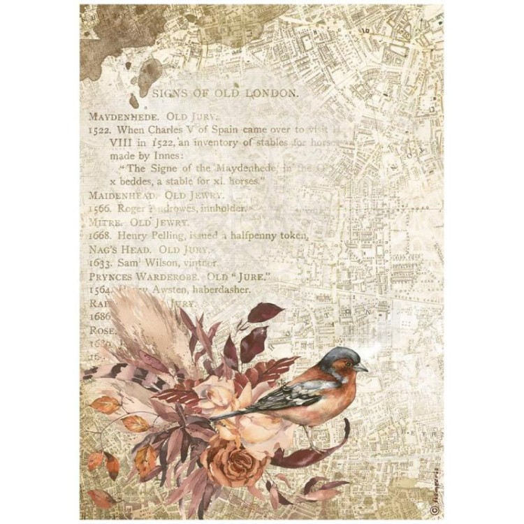 Papier ryżowy A4 Our Way Bird Ptaszek DFSA4713 Stamperia