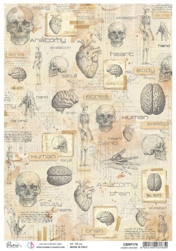 Papier ryżowy A4 Sign of the Times - Human Anatomy CBRP176 Ciao Bella