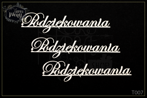 Tekturka napis Podziękowania - 3 szt T007 Fabryka Weny 1