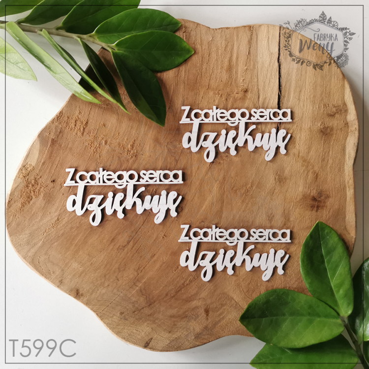 Tekturka napis Z całego serca dziękuję - 3 szt T599C Fabryka Weny