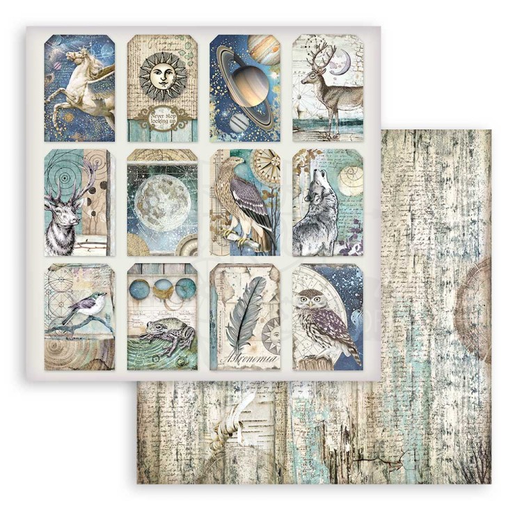 Zestaw papierów 20x20 Cosmos Infinity SBBS67 Stamperia 10