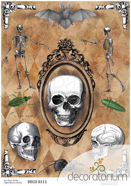 Papier ryżowy A4 czaszki szkiety chrząszcze nietoperz 0111 Decoratorium