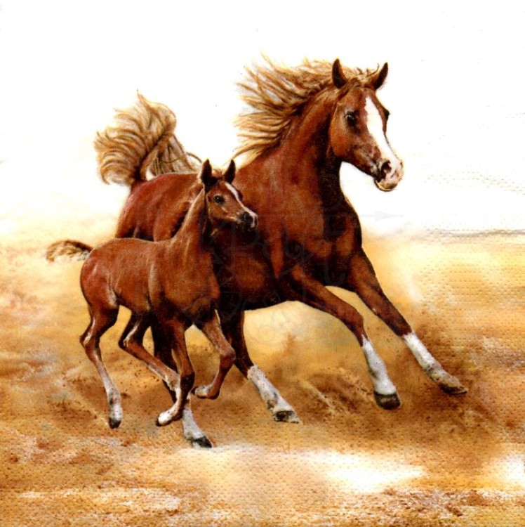 Serwetka 33x33 - Konie w galopie