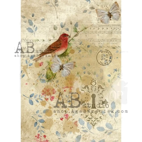 Papier ryżowy A4 ptaszek motyle tło 0408 ABstudio