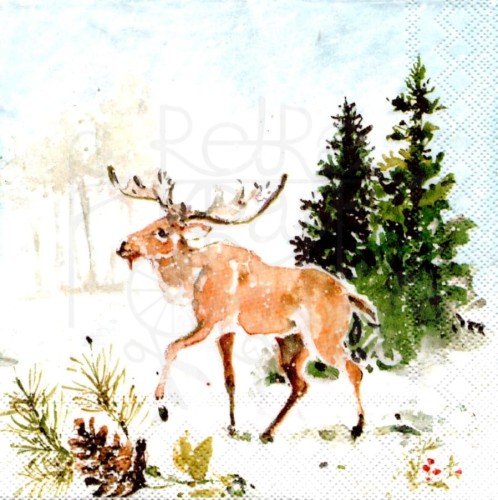 Serwetka 25x25 - Łoś